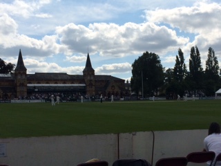 Cricket Festival